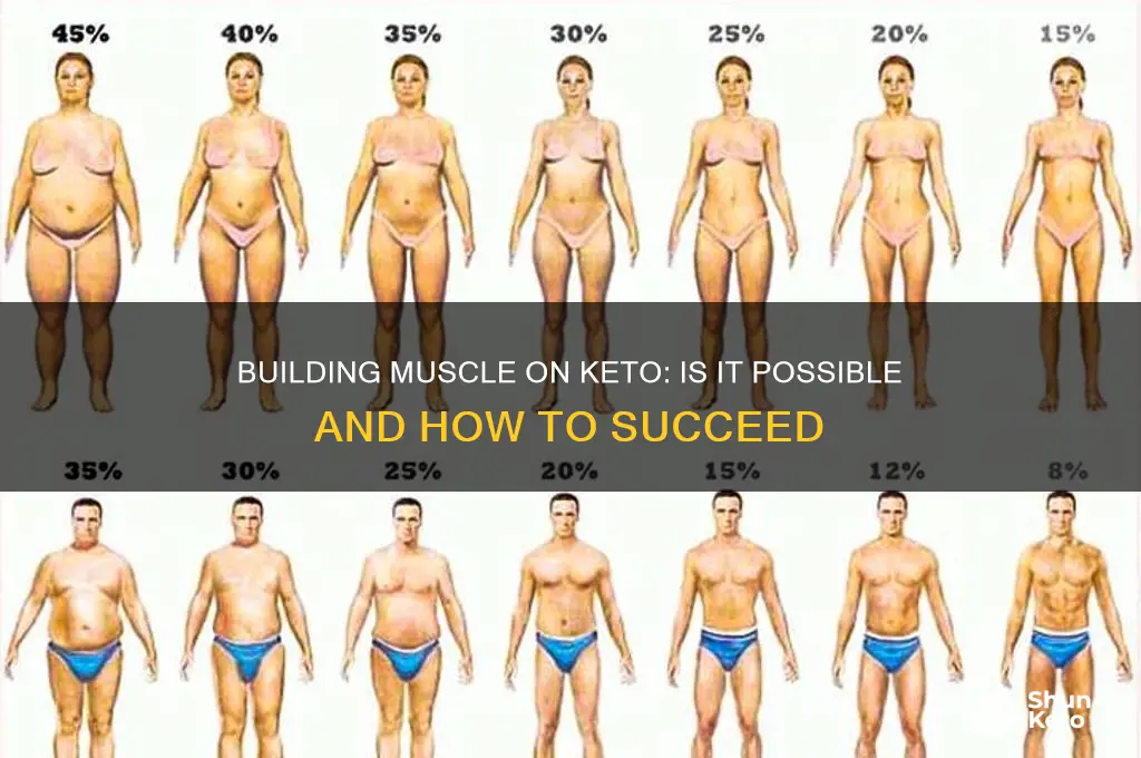 can you gain muscle mass on keto