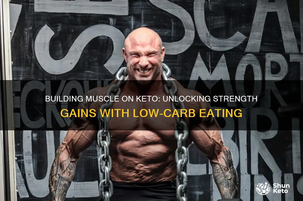 can you gain strength on keto