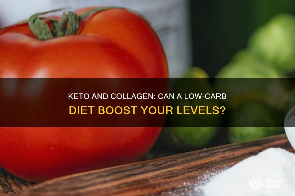 can you get enough collgen through a keto diet