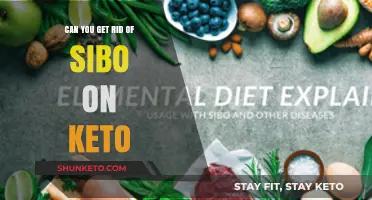 Keto and SIBO: Can a Low-Carb Diet Eliminate Bacterial Overgrowth?