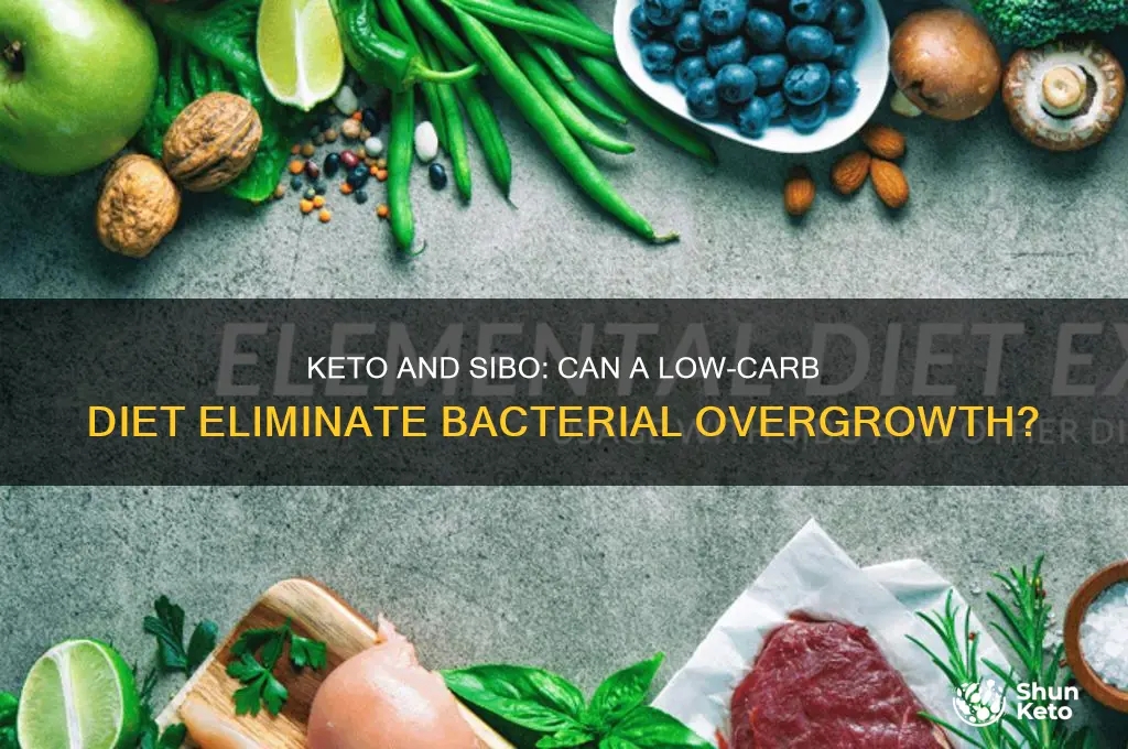 can you get rid of sibo on keto