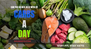 Keto Diet: Can 22 Carbs a Day Kickstart Ketosis?