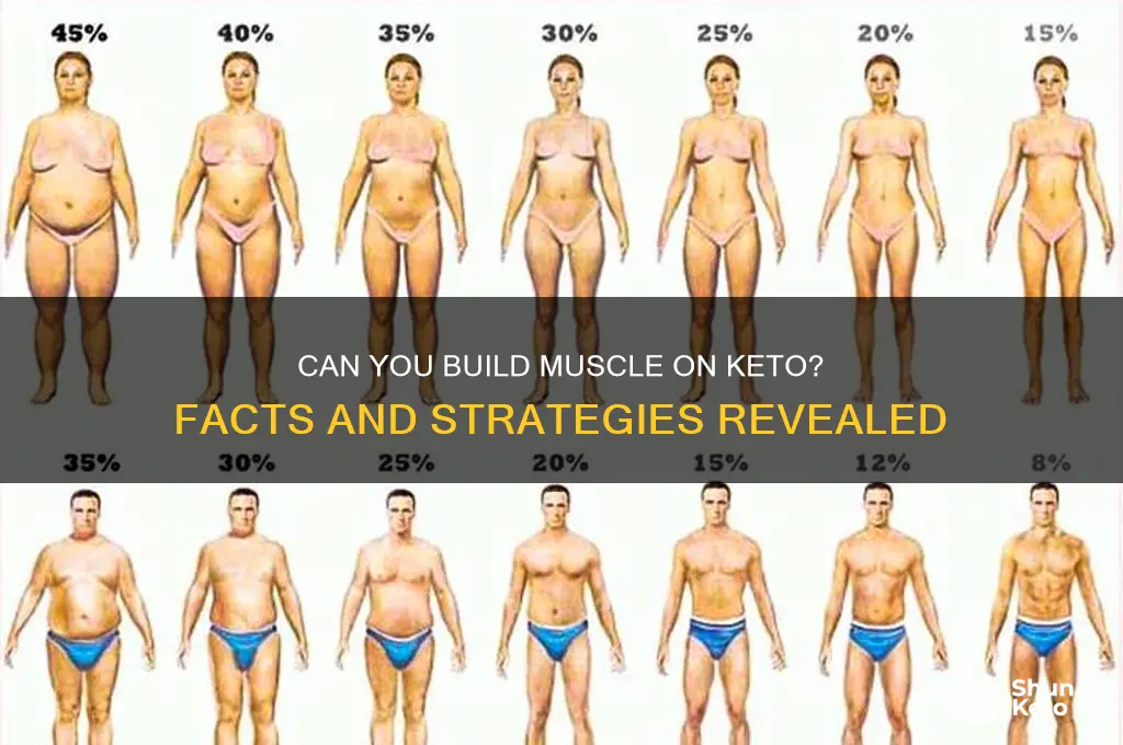 can you grow muscle on keto