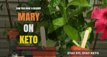 Keto-Friendly Bloody Mary: Enjoying the Classic Cocktail on a Low-Carb Diet
