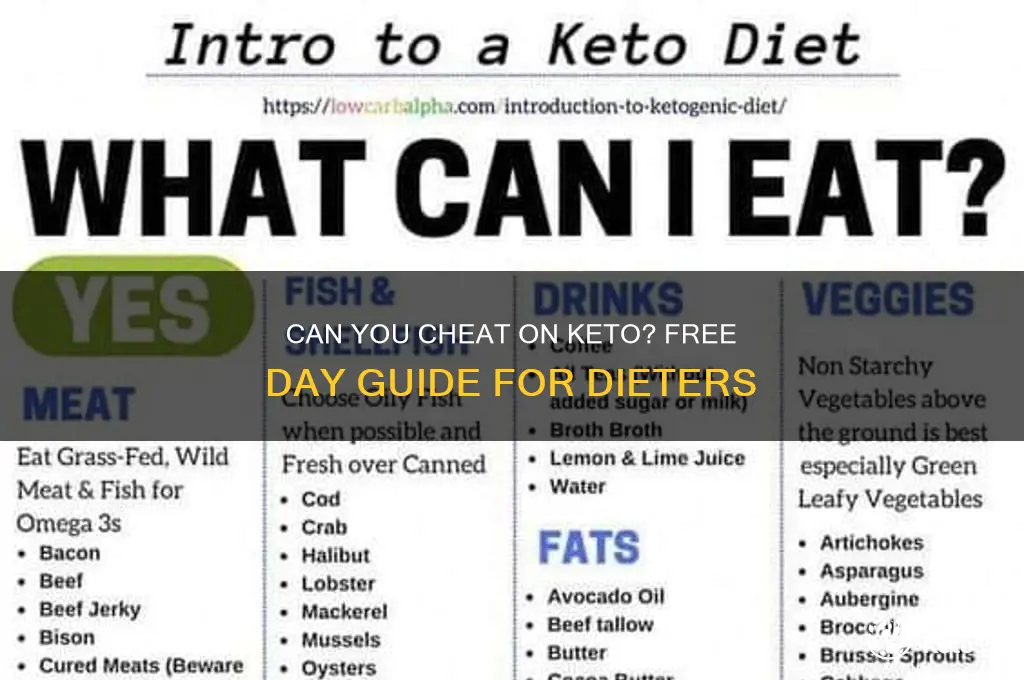 can you have a free day on keto