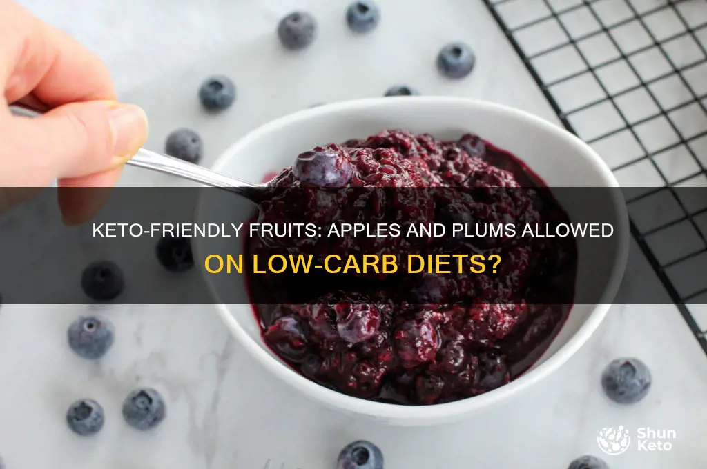 can you have apples and plums on a keto diet