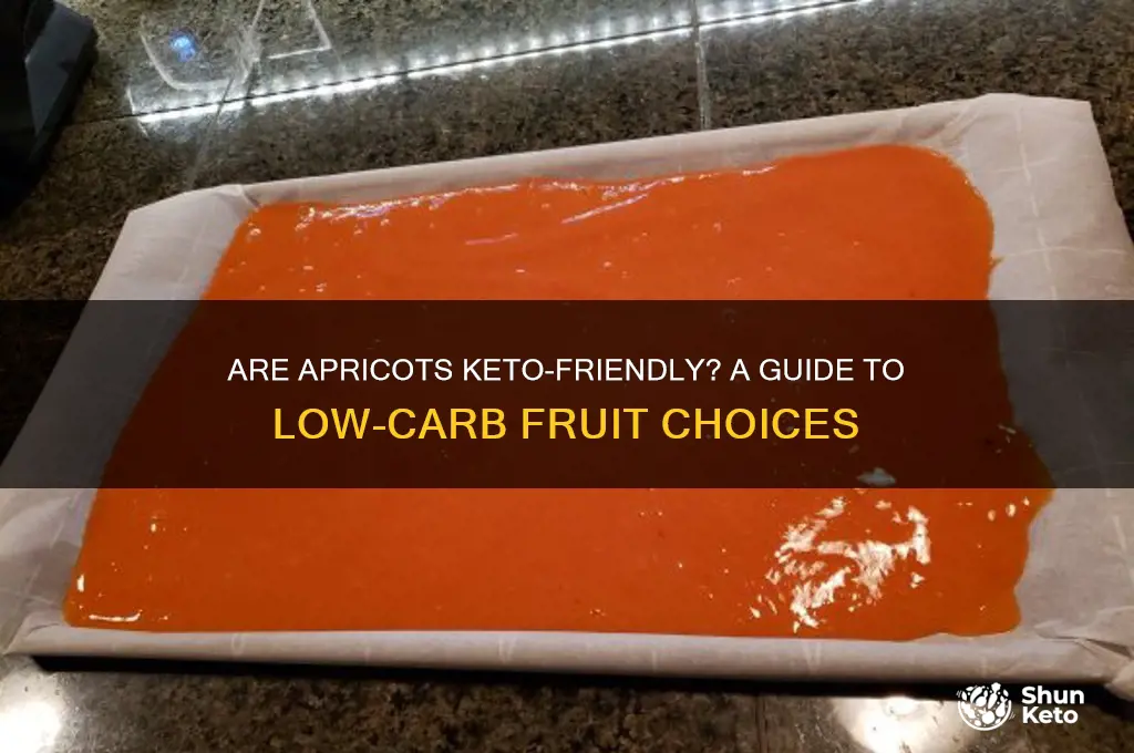 can you have apricots on keto
