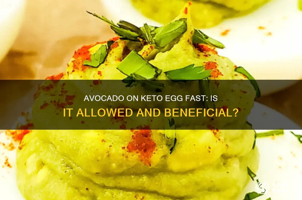 can you have avocado on keto egg fast