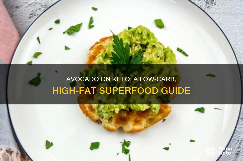 can you have avocado on keto