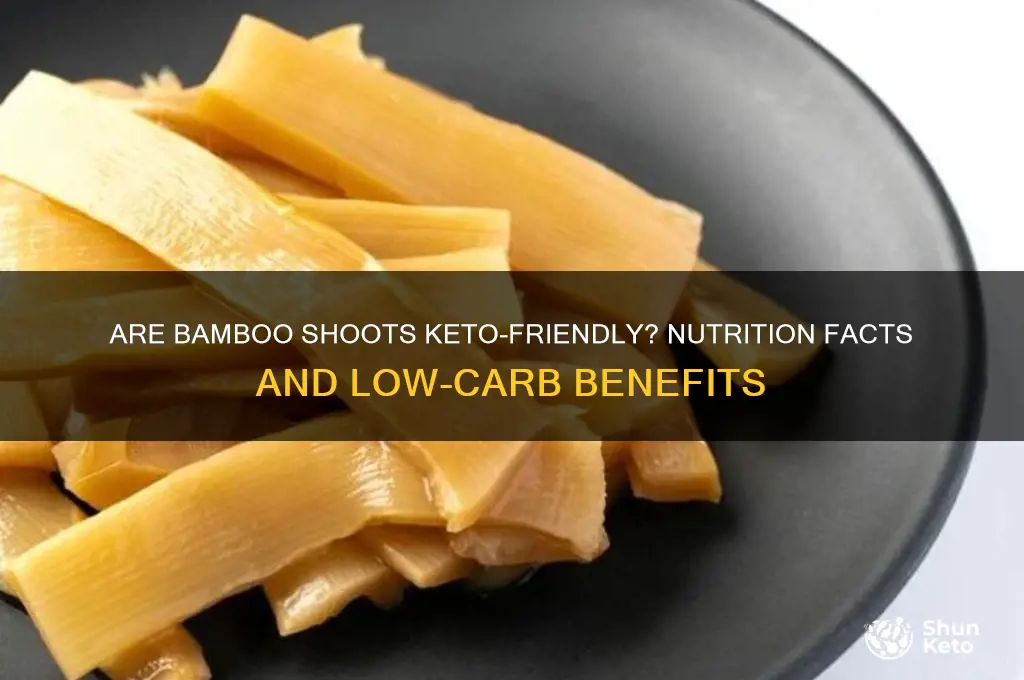 can you have bamboo shoots on keto