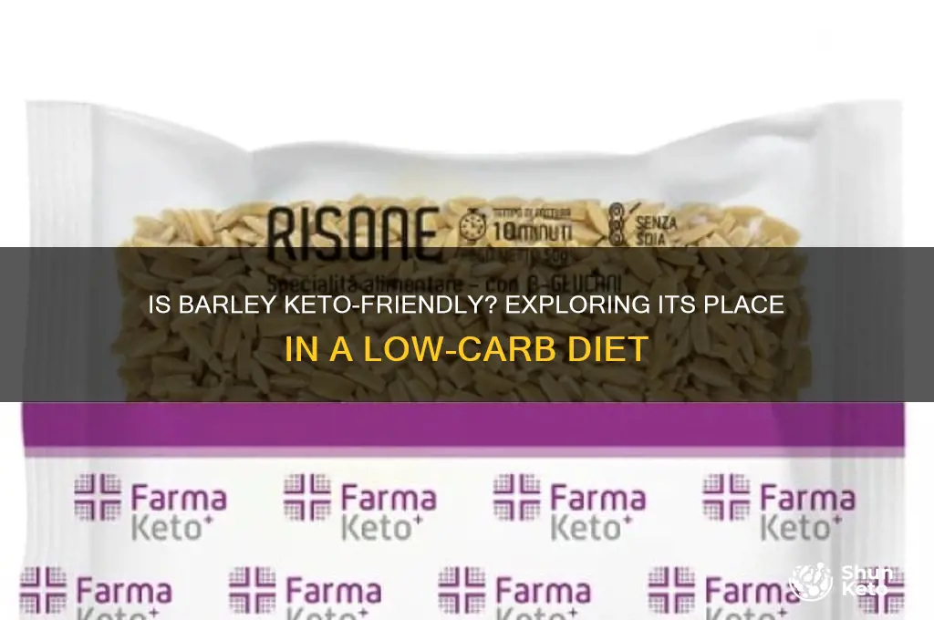 can you have barley on keto