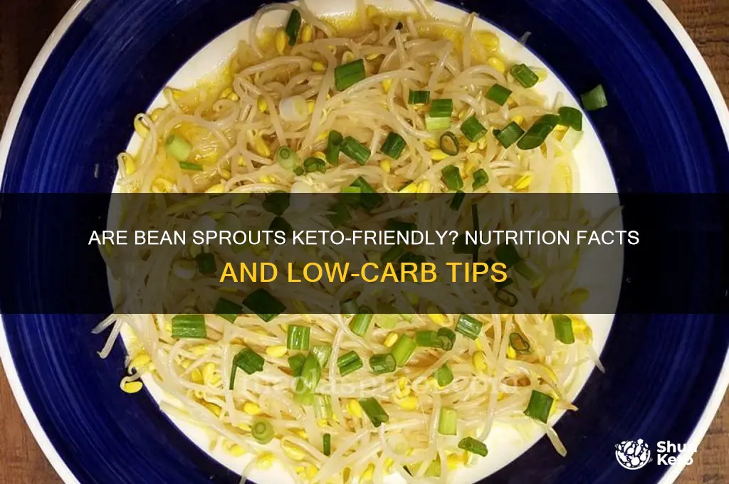 can you have bean sprouts on keto