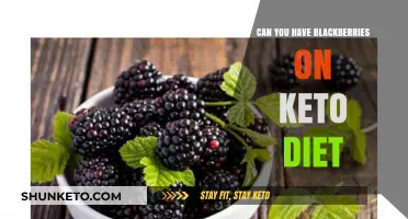 Blackberries on Keto: Are They Low-Carb and Diet-Friendly?