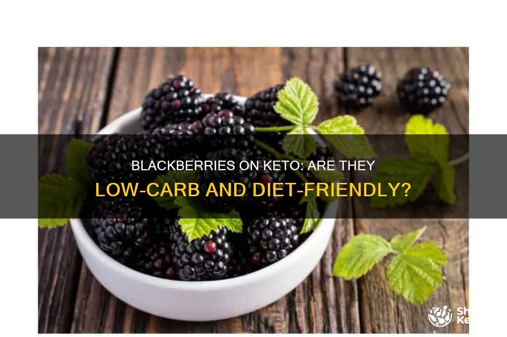 can you have blackberries on keto diet