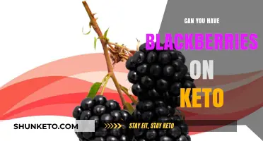 Can You Enjoy Blackberries on Keto? A Low-Carb Fruit Guide