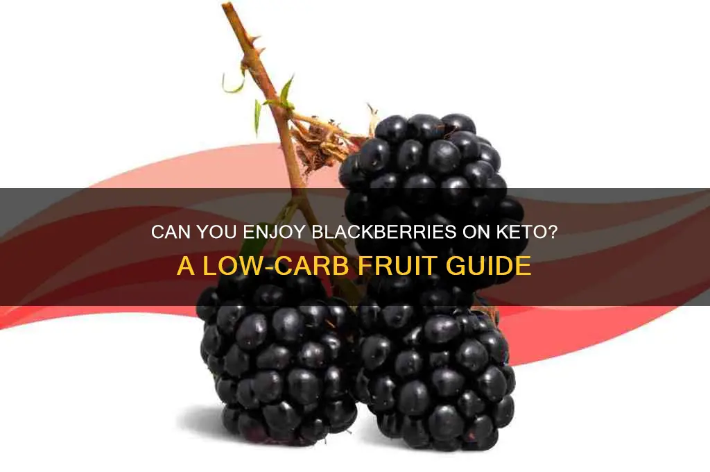 can you have blackberries on keto