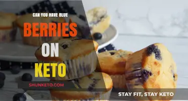 Blueberries on Keto: Are They Low-Carb Enough for Your Diet?