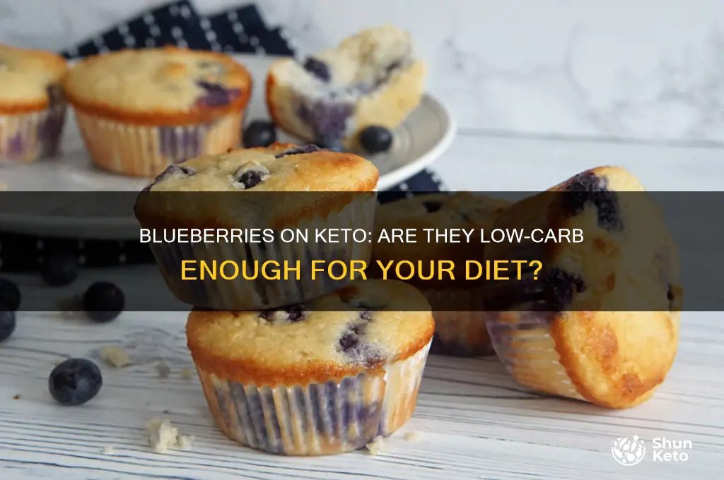can you have blue berries on keto