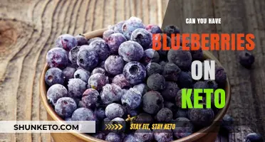 Blueberries on Keto: Are They Low-Carb Enough for Your Diet?