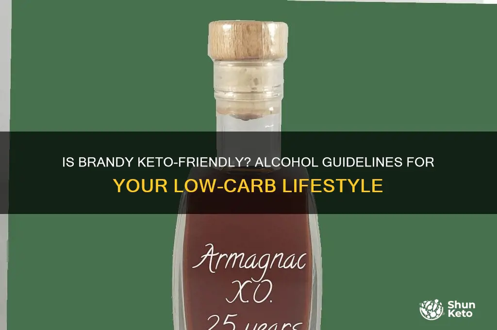 can you have brandy on keto diet