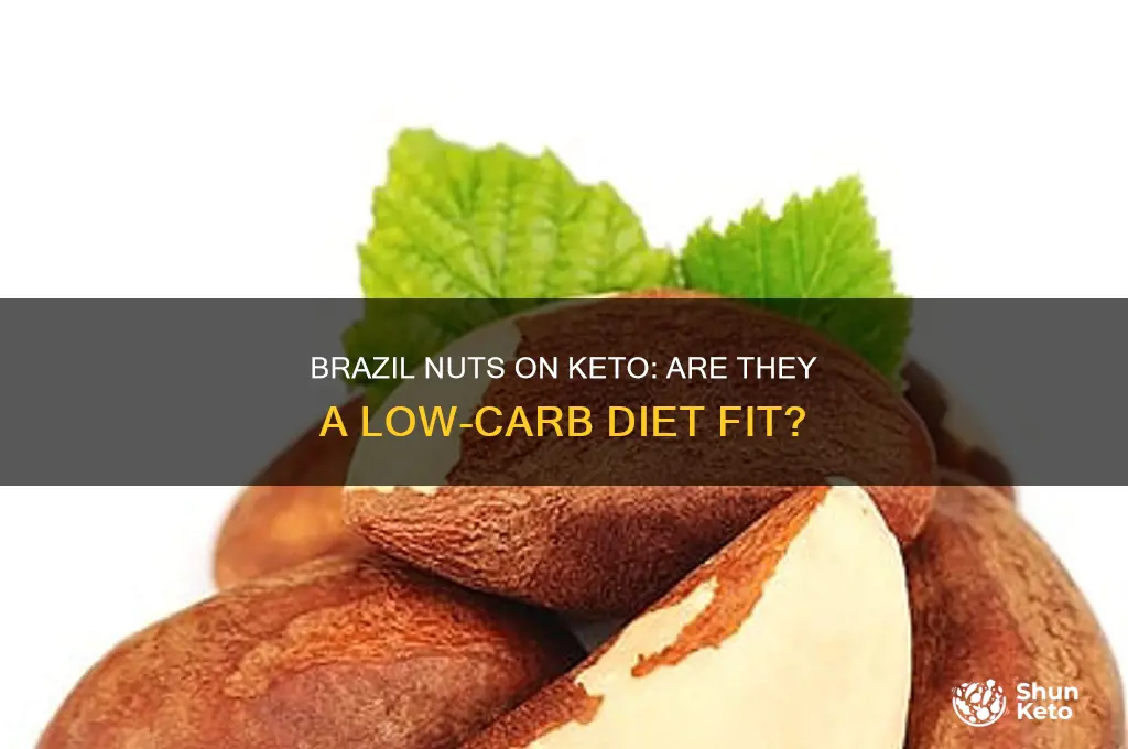 can you have brazil nuts on keto diet