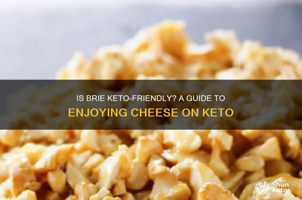 can you have brie on keto