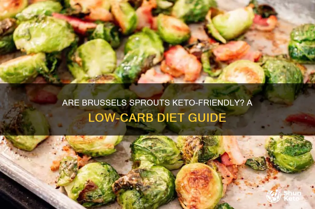 can you have brussel sprouts on a keto diet