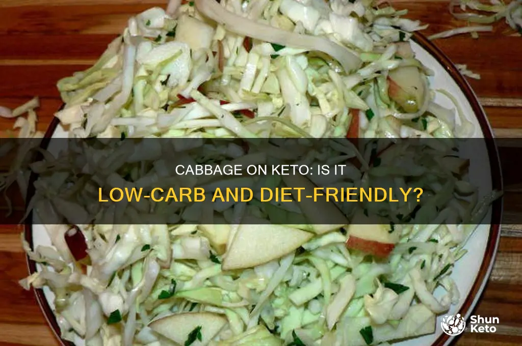 can you have cabbage on a keto diet