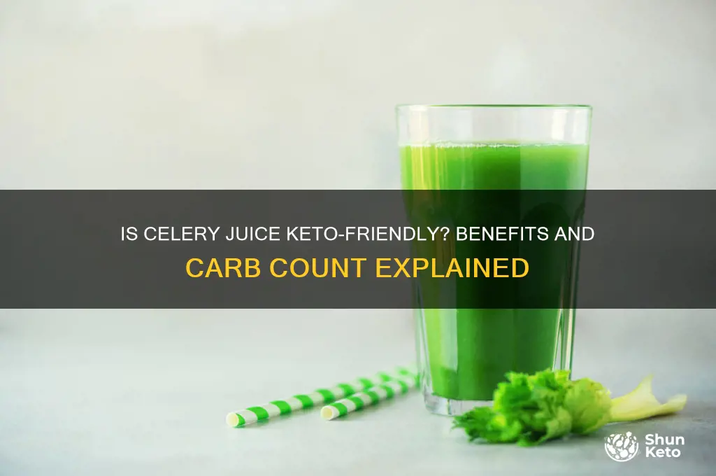 can you have celery juice on keto diet
