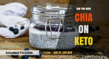 Chia Seeds on Keto: Are They a Low-Carb Friendly Superfood?