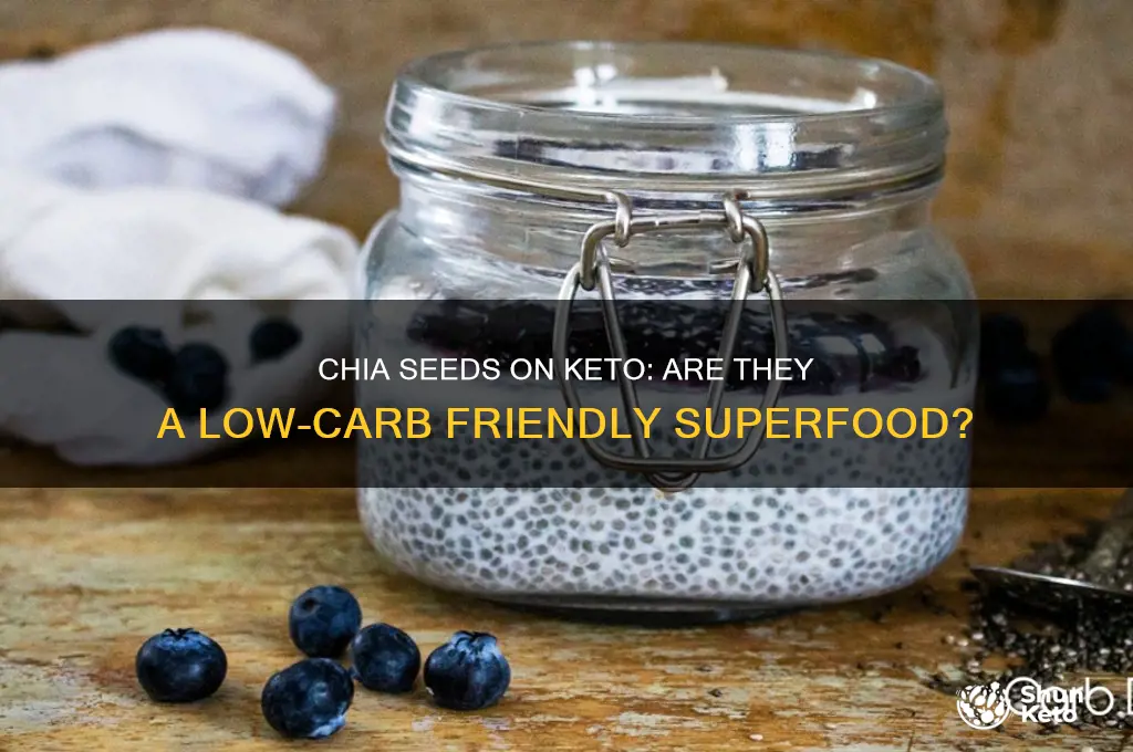 can you have chia on keto
