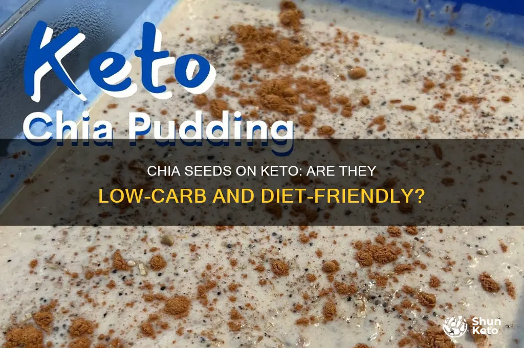 can you have chia seeds on keto