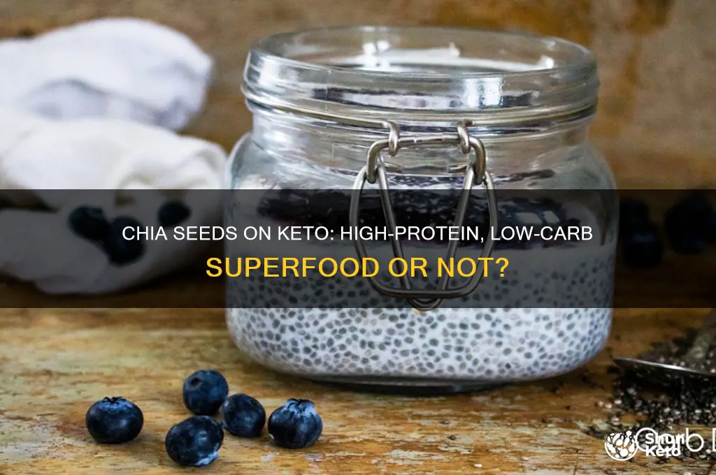 can you have chia seeds protein on keto