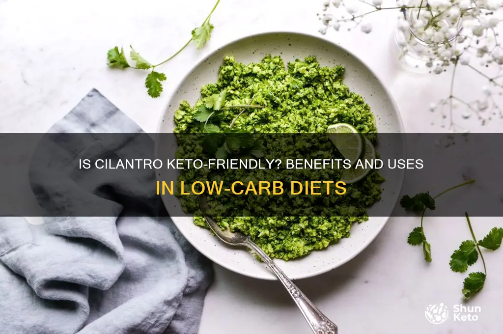 can you have cilantro on keto