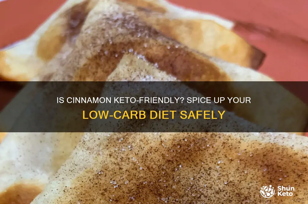 can you have cinnamon on keto diet