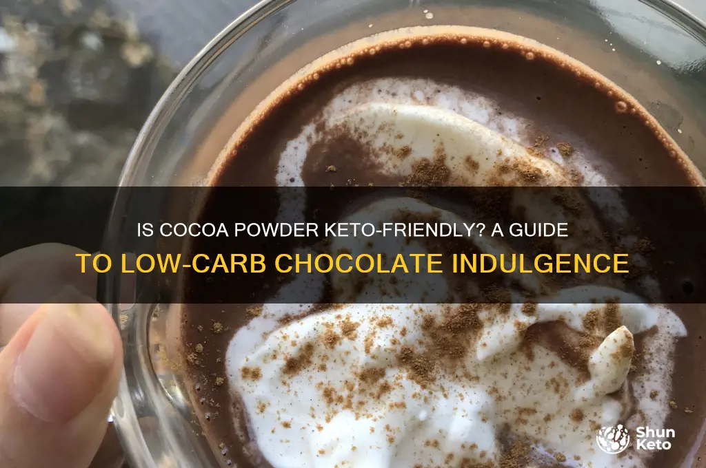 can you have cocoa powder on keto