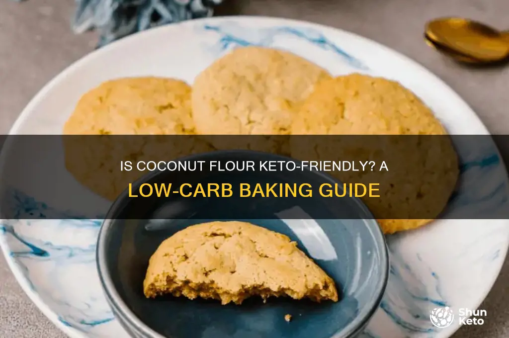can you have coconut flour on keto