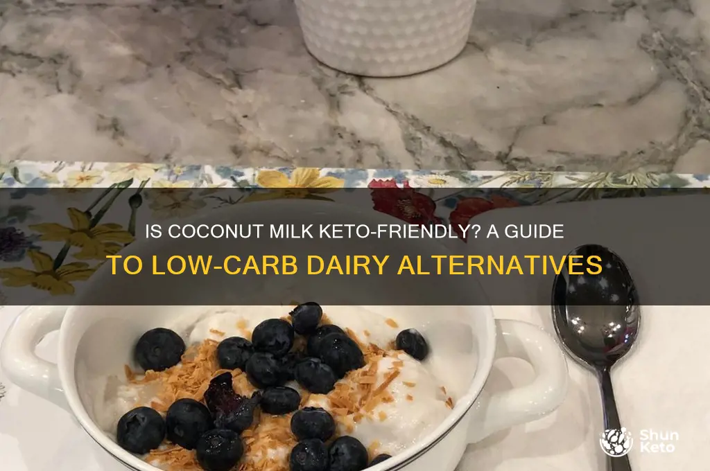 can you have coconut milk on a keto diet