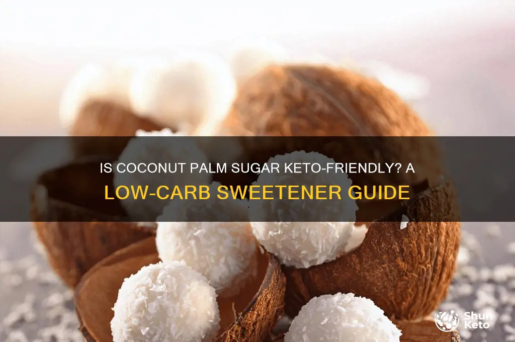 can you have coconut palm sugar on keto diet