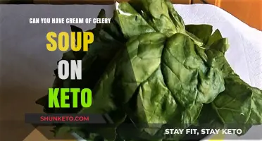 Keto-Friendly Cream of Celery Soup: Low-Carb Comfort Food Guide