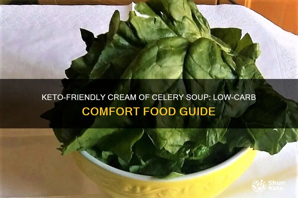 can you have cream of celery soup on keto