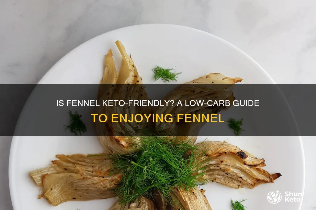 can you have fennel on keto
