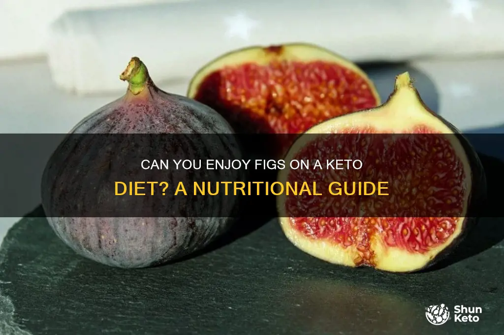 can you have figs on keto diet