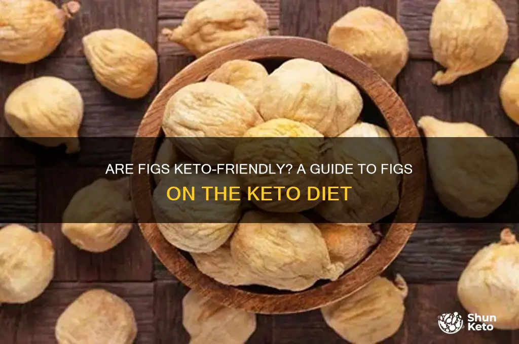 can you have figs on keto