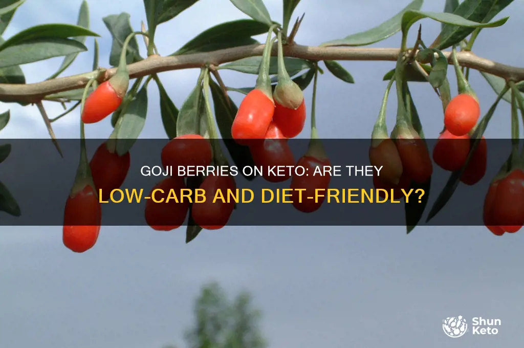 can you have goji berries on keto diet