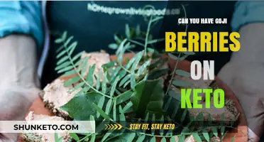 Goji Berries on Keto: Are They Low-Carb and Diet-Friendly?