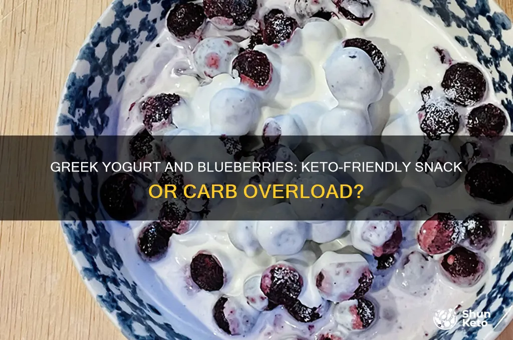 can you have greek yogurt and blueberries on keto