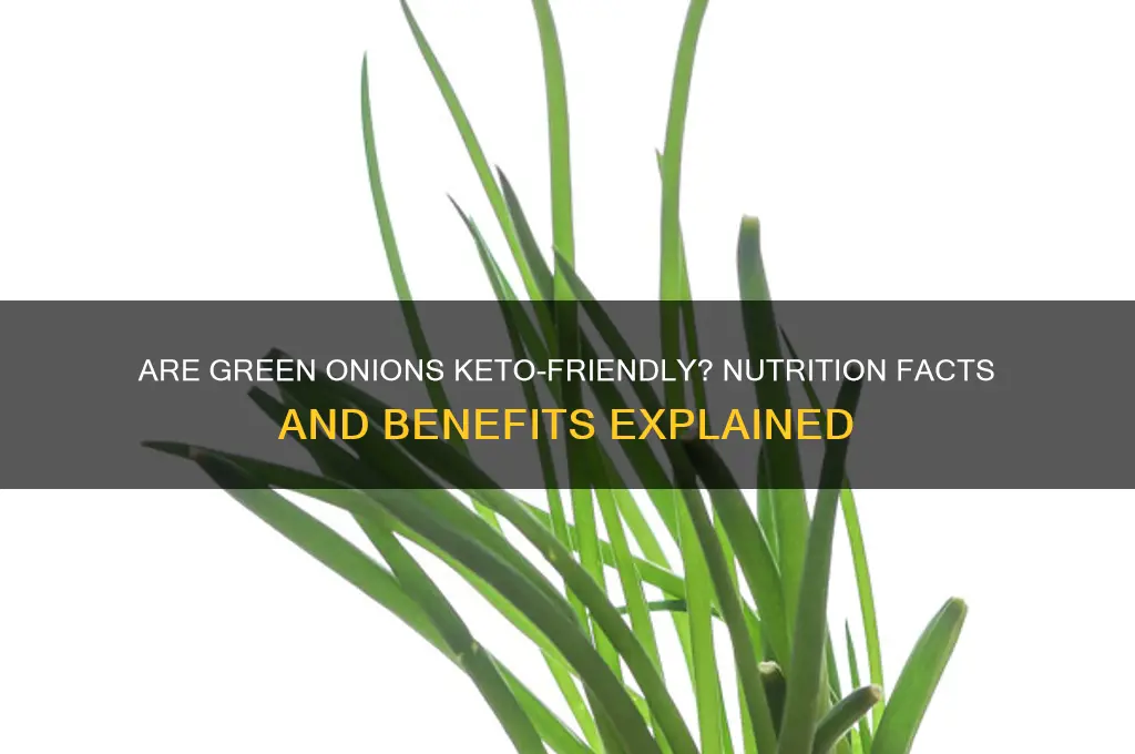 can you have green onions on keto diet