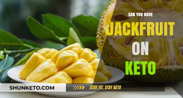 Is Jackfruit Keto-Friendly? A Low-Carb Diet Guide to Jackfruit