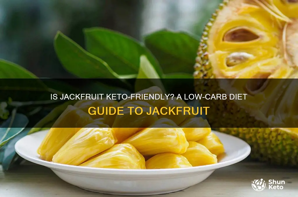 can you have jackfruit on keto